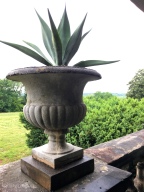 Urn with a view